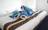 Туры в отель Hotel Chula Vista SENAGA