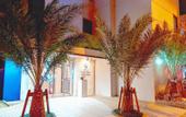 Туры в отель Hotel Chula Vista SENAGA