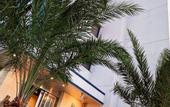 Туры в отель Hotel Chula Vista SENAGA