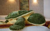 Туры в отель Hotel Chula Vista SENAGA