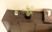 Туры в отель Casa Viento Stay Inn