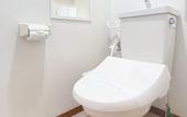 Туры в отель OUCHI HOTEL Dambara