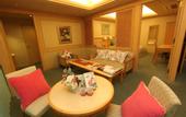 Туры в отель Hotel Symphony Annex