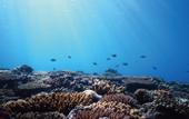 Туры в отель IMAGINE OKINAWA