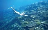 Туры в отель IMAGINE OKINAWA