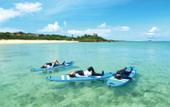 Туры в отель IMAGINE OKINAWA