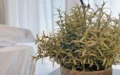 Туры в отель OUCHI HOTEL Hatsukaichi-ekimae