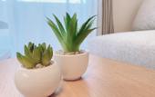 Туры в отель OUCHI HOTEL Hatsukaichi-ekimae