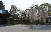 Туры в отель Connect inn Gionmiyagawacho
