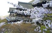 Туры в отель Connect inn Gionmiyagawacho