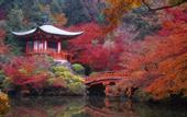 Туры в отель SlowTime Hotel Kyoto