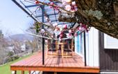 Туры в отель KoKo Terrace Fuji