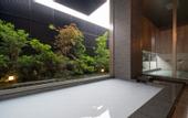 Туры в отель HOTEL MYU STYLE INUYAMA experience