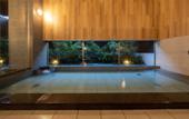 Туры в отель HOTEL MYU STYLE INUYAMA experience