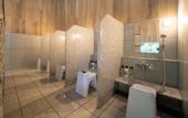 Туры в отель HOTEL MYU STYLE INUYAMA experience