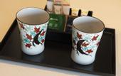 Туры в отель HOTEL MYU STYLE INUYAMA experience