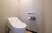 Туры в отель HOTEL MYU STYLE INUYAMA experience