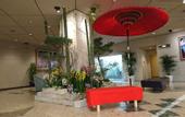 Туры в отель Central Hotel Kamojima
