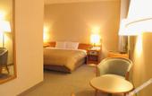 Туры в отель Central Hotel Kamojima