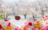 Туры в отель Central Hotel Kamojima