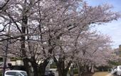 Туры в отель Central Hotel Kamojima