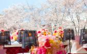 Туры в отель Central Hotel Kamojima