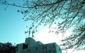 Туры в отель Central Hotel Kamojima