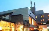 Туры в отель Central Hotel Kamojima