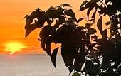 Туры в отель Kaya Resort Kourijima