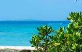 Туры в отель UMITO PLAGE The Atta Okinawa