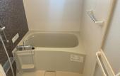 Туры в отель BiBi Hotel Convention Bay