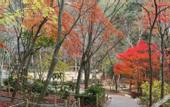 Туры в отель Brucke hostel&cafe ARIMA Kobe