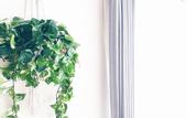 Туры в отель OUCHI HOTEL Itsukaichi