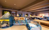 Туры в отель Grandvrio Hotel Beppuwan Wakura
