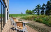 Туры в отель Fairfield By Marriott Hokkaido Naganuma