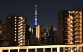 Туры в отель FL Hotel Asakusa