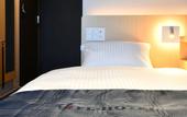 Туры в отель FL Hotel Asakusa