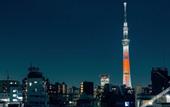 Туры в отель THE skM TOKYO HOTEL&DINING