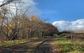 Туры в отель MAPLE FARM