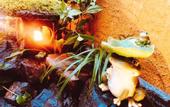 Туры в отель Nara Ryokan