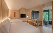 Туры в отель Shisui, A Luxury Collection Hotel, Nara