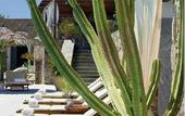 Туры в отель Apollonia Resort