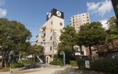Туры в отель Stay Hotel
