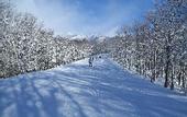 Туры в отель Square 8 - HAKUBA Funny hours