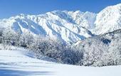 Туры в отель Square 8 - HAKUBA Funny hours