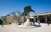 Туры в отель POOL VILLA KOURIJIMA by COLDIO SMART RESORT
