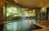 Туры в отель Tateshina Park Hotel