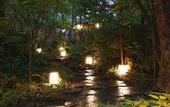 Туры в отель Tateshina Park Hotel