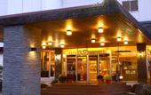 Туры в отель Tateshina Park Hotel