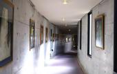 Туры в отель Tateshina Park Hotel